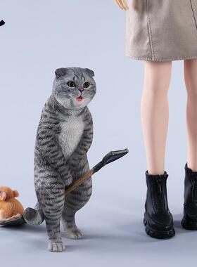 JXK1/6卡裆猫橘猫可爱摆件