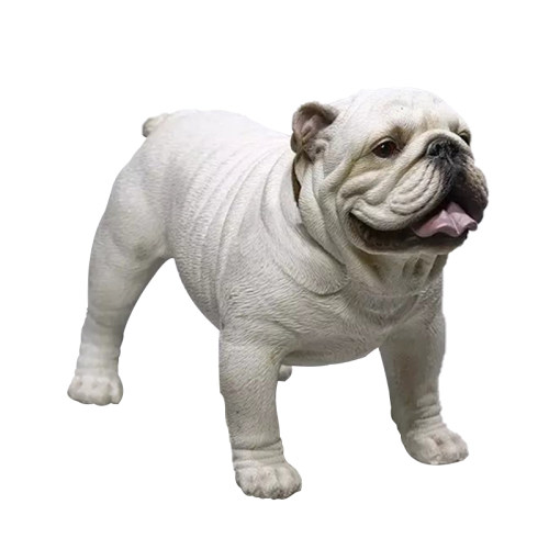 JXK 1/6英国斗牛犬模型 仿真狗动物摆件桌面萌宠潮玩周边手办 - 图3