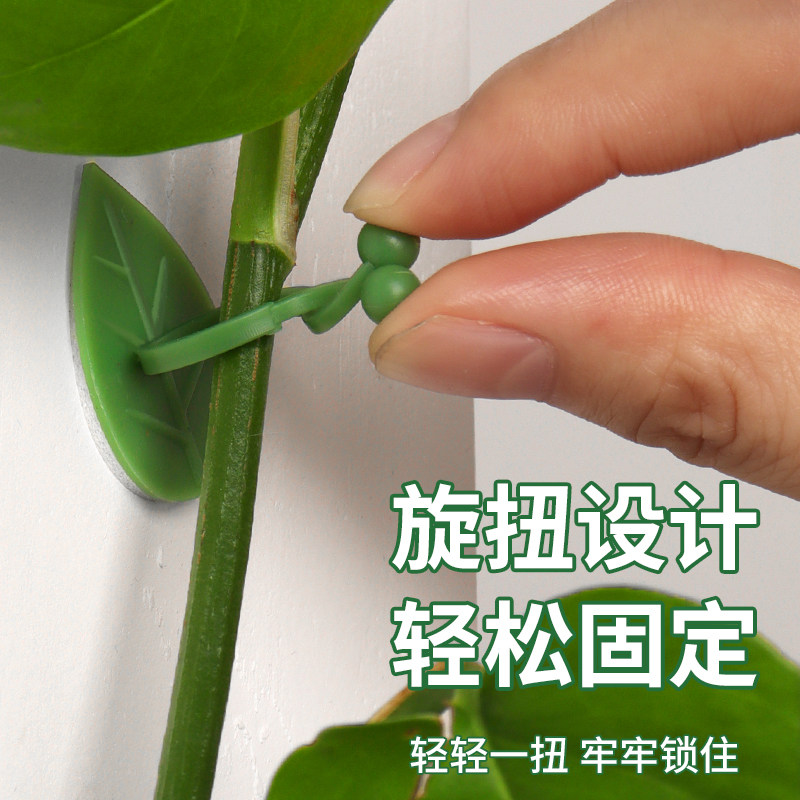 绿萝爬藤固定器绿植爬墙不伤墙支撑植物爬上神器爬墙花固定卡扣,淘宝优惠券,粉丝福利购,淘宝优惠卷