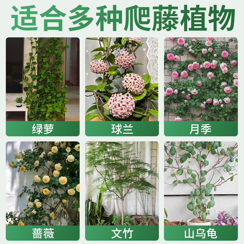 绿萝爬藤固定器绿植爬墙不伤墙支撑植物爬上神器爬墙花固定卡扣,淘宝优惠券,粉丝福利购,淘宝优惠卷