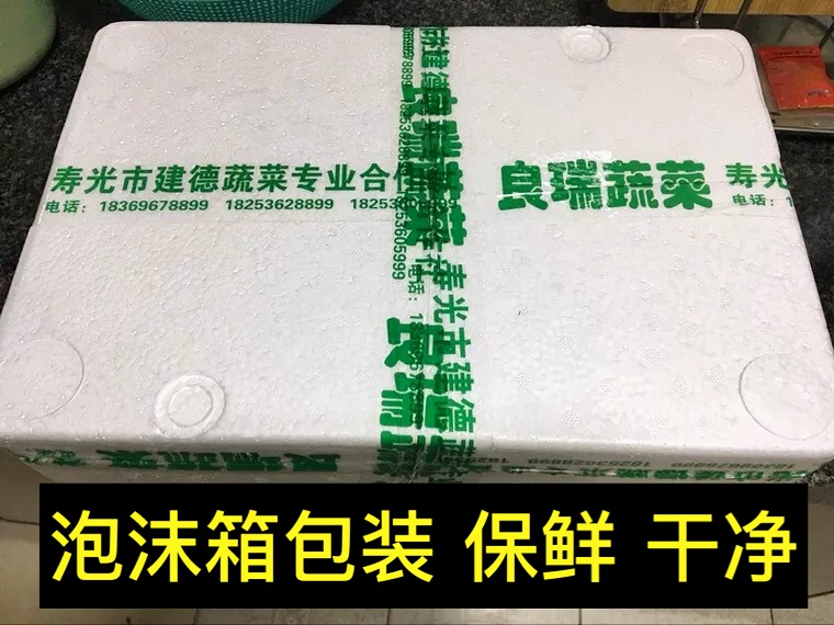 荷兰黄瓜新鲜小黄瓜5斤水果小青瓜蔬菜农家10山东旱生吃现摘现发 - 图3