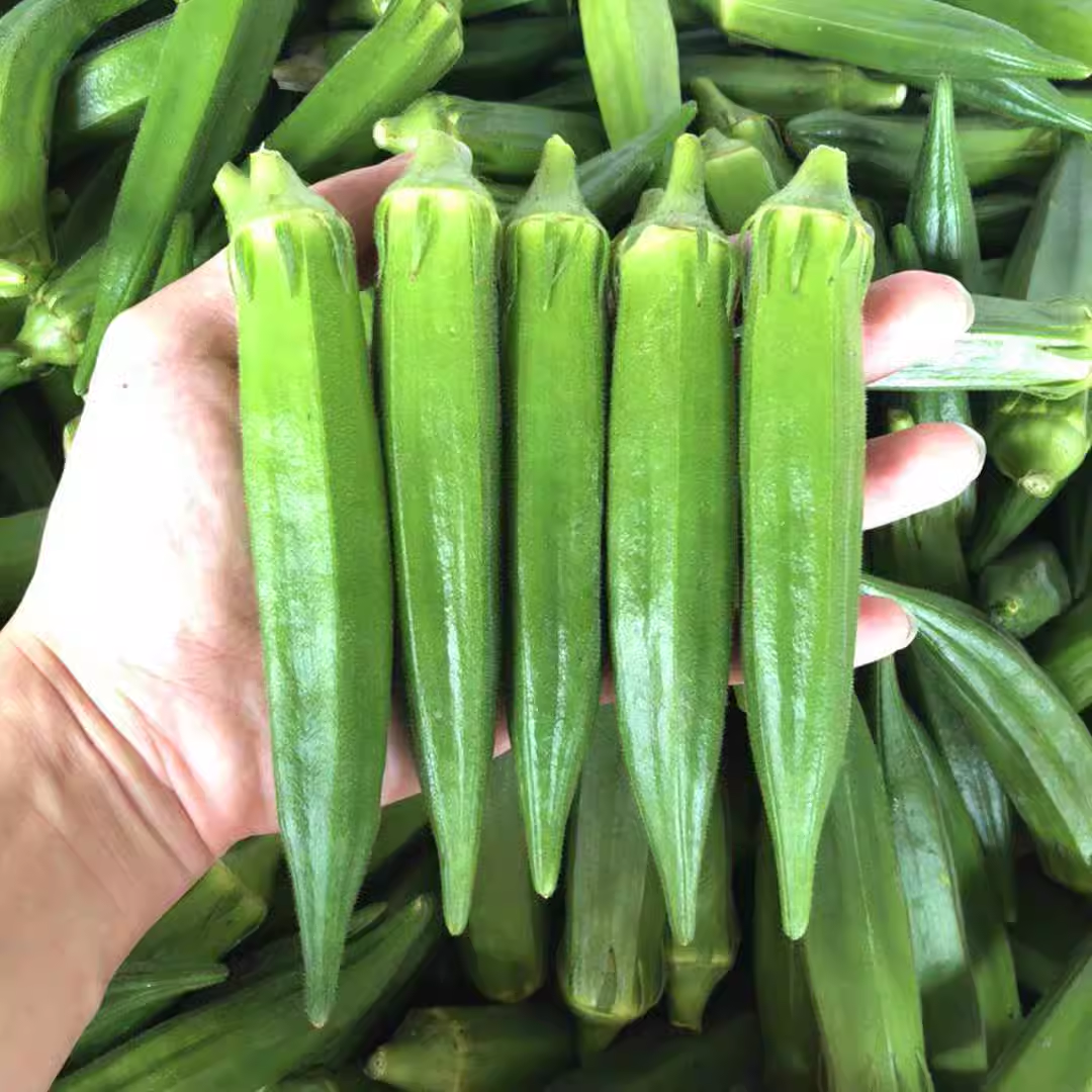 【现摘秋葵】新鲜秋葵蔬菜鲜嫩水果黄秋葵炒菜烧烤凉拌减脂蔬菜,淘宝优惠券,粉丝福利购,淘宝优惠卷