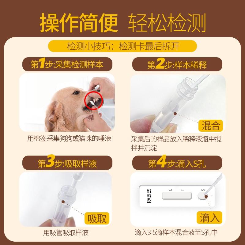 宠宠物用品店宠犬猫狂犬病毒抗原体检测试纸卡五分钟快速出结果养-图2