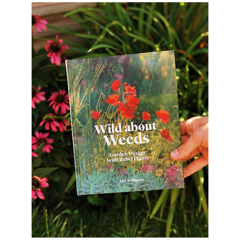 【现货】杂草花园设计Wild about Weeds: Garden Design with Rebel Plants - 图0