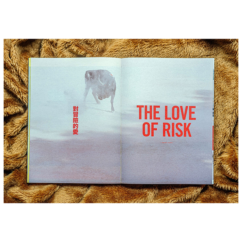 【预售】E514Lost(SGP)2025年01期 NO.11生活综合杂志杂志+VOLUME PRESS进口原版书 - 图3