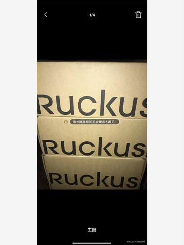 Ruckus优科R510 901-R510-WW00 工程下 - 图1