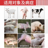 Длинная зверя Длинная инъекция хиттициллина в инъекцию жидкости ветеринарной медицины лечебной лечебной лечебной лечеб