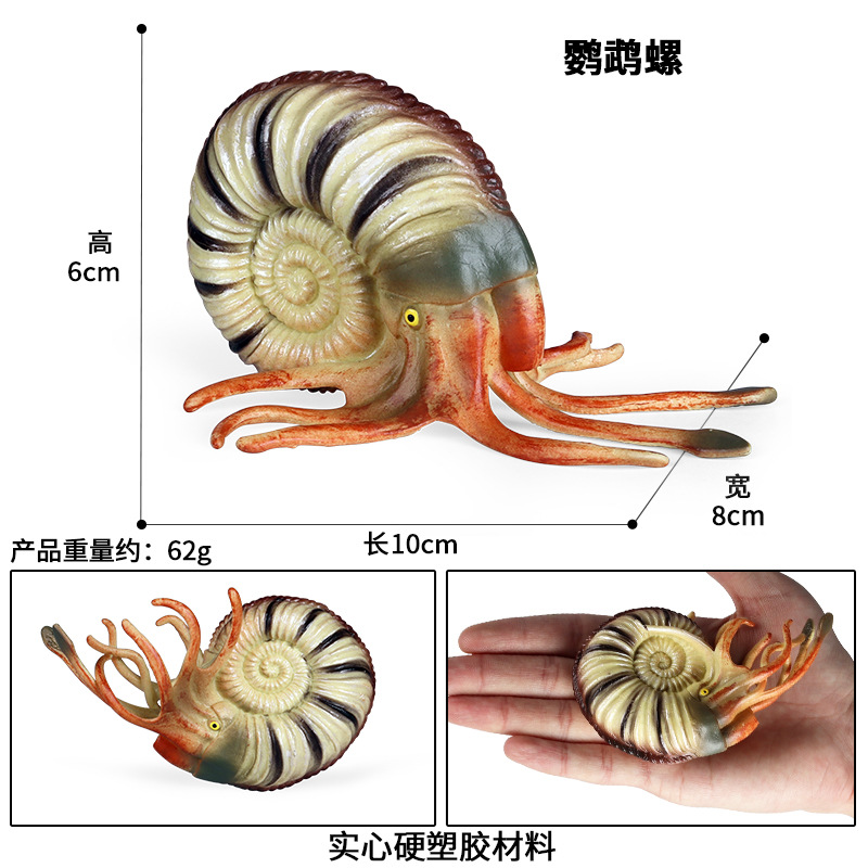 史前海洋生物玩具远古鹦鹉螺奇虾鱼龙三叶虫直角石头甲鱼鱿鱼模型-图1