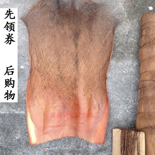 棕片棕树皮棕毛棕榈衣棕丝棕衣装饰绿萝棒育鱼苗茅草屋棕制品包邮 - 图0
