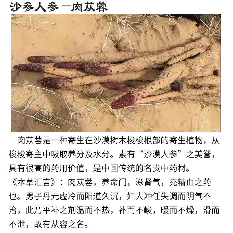 男人补肾汤包肉苁蓉锁阳滋补汤*2煲牛鞭汤料包男女药膳备孕煲汤料-图1