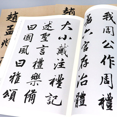 任选20册 中国历代书法名家作品集字 赵孟頫王羲之米芾王铎苏轼颜真卿孙过庭章草楷书行书简牍古诗词唐诗宋词赵孟俯千字文临摹字帖 - 图3