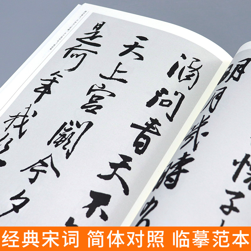 【大尺寸8开】王铎集字宋词行书 中国历代书法名家作品集字古诗词江锦世编 简体对照楷行草临帖毛笔书法字帖王铎书法全集人民美术 - 图3