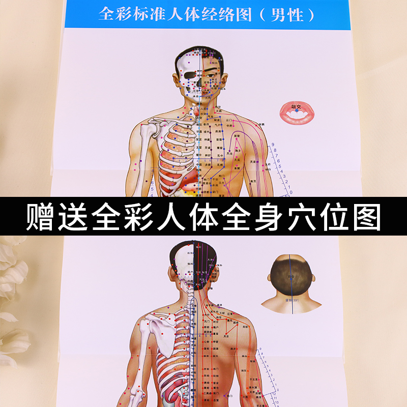 鼻炎中医特效疗法 金瑛主编 中国科学技术出版社 常见病中医调治 中医师 患者及其家属参考书籍 赠全身穴位彩图3张 - 图2