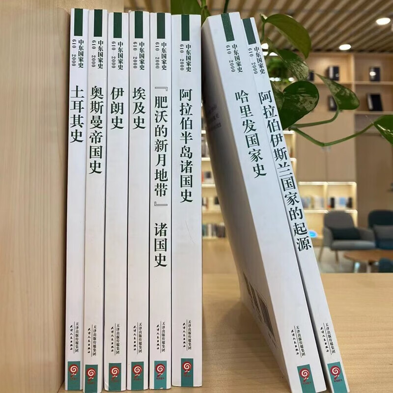 中东国家史全8册 中东国家史610-2000:奥斯曼帝国史+埃及史+哈里发国家史+阿拉伯半岛诸国史+伊斯兰国家的起源等 世界历史研究读物 - 图3