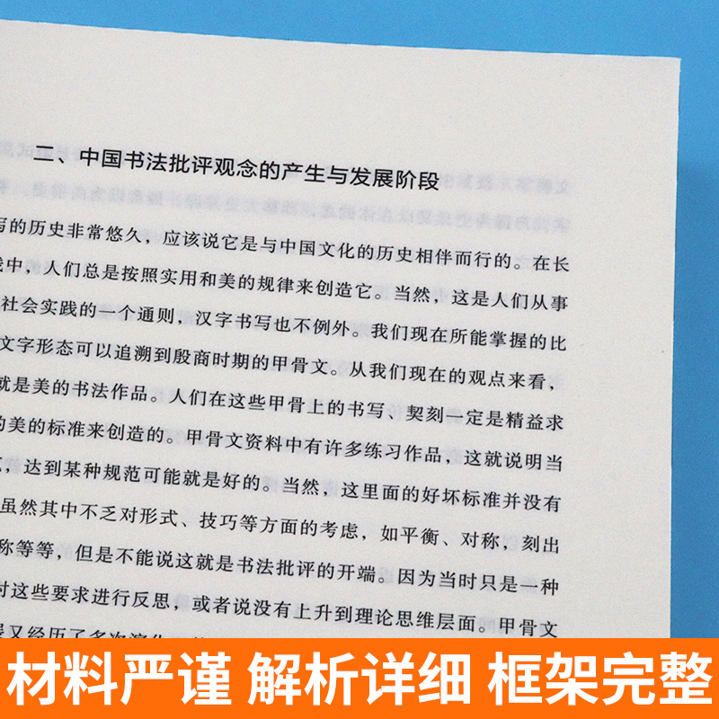 正版 中国书法批评史 甘中流 书法历史大全汉唐宋元明清朝文化艺术 追寻书法意义的历史解析书法书法技法篆楷行草碑帖研究理论人美 - 图3