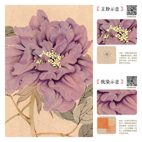 【附教学视频】没骨花卉日课 中国画传统技法教程  没骨花鸟画教程没骨画册白描底稿教学恽寿平没骨花鸟 画册美术自学国画临摹书籍 - 图2
