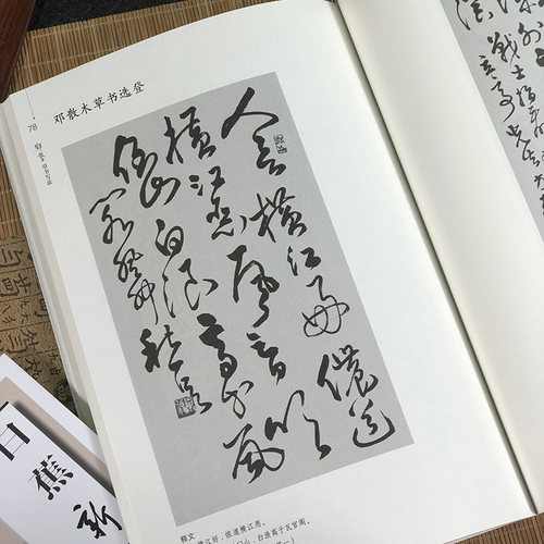 邓散木草书写法新版 毛笔书法教程草书运笔用笔临摹选帖教学并借偏旁方法技巧异字同写入门结构临摹对照字帖范例邓散木草书范作 - 图3