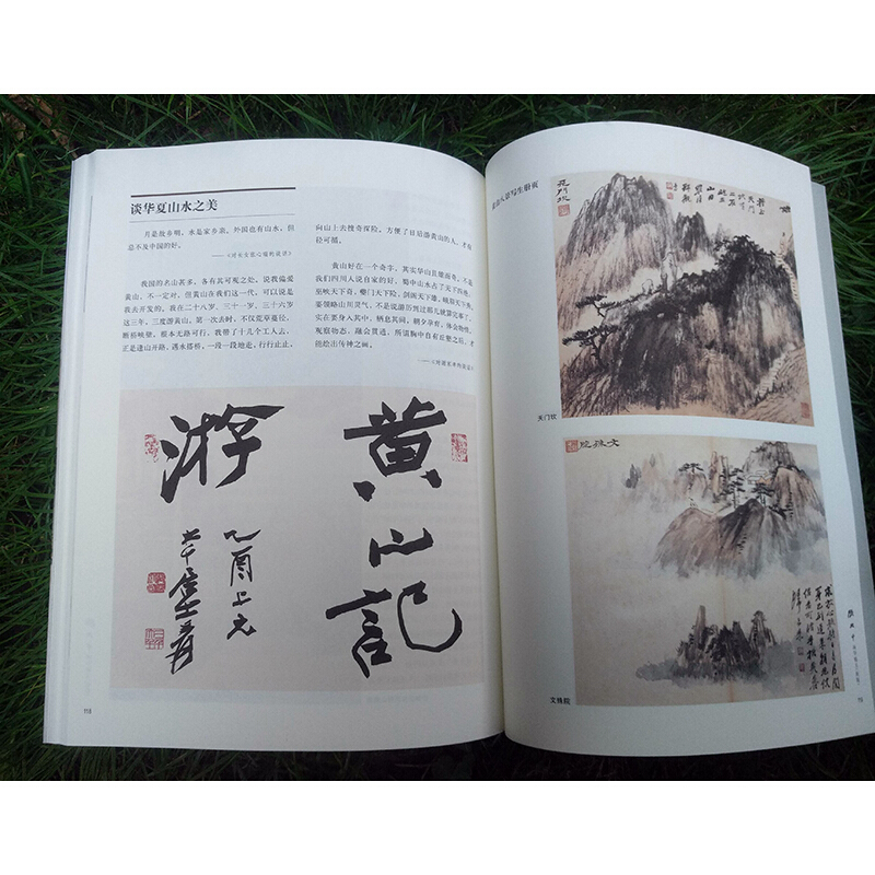 新版 张大千画学精义 名家讲稿系列 高清山水画花鸟画人物画课徒稿书画作品中国传世名画美术鉴赏临摹画集名家国画绘画技法教程书 - 图2