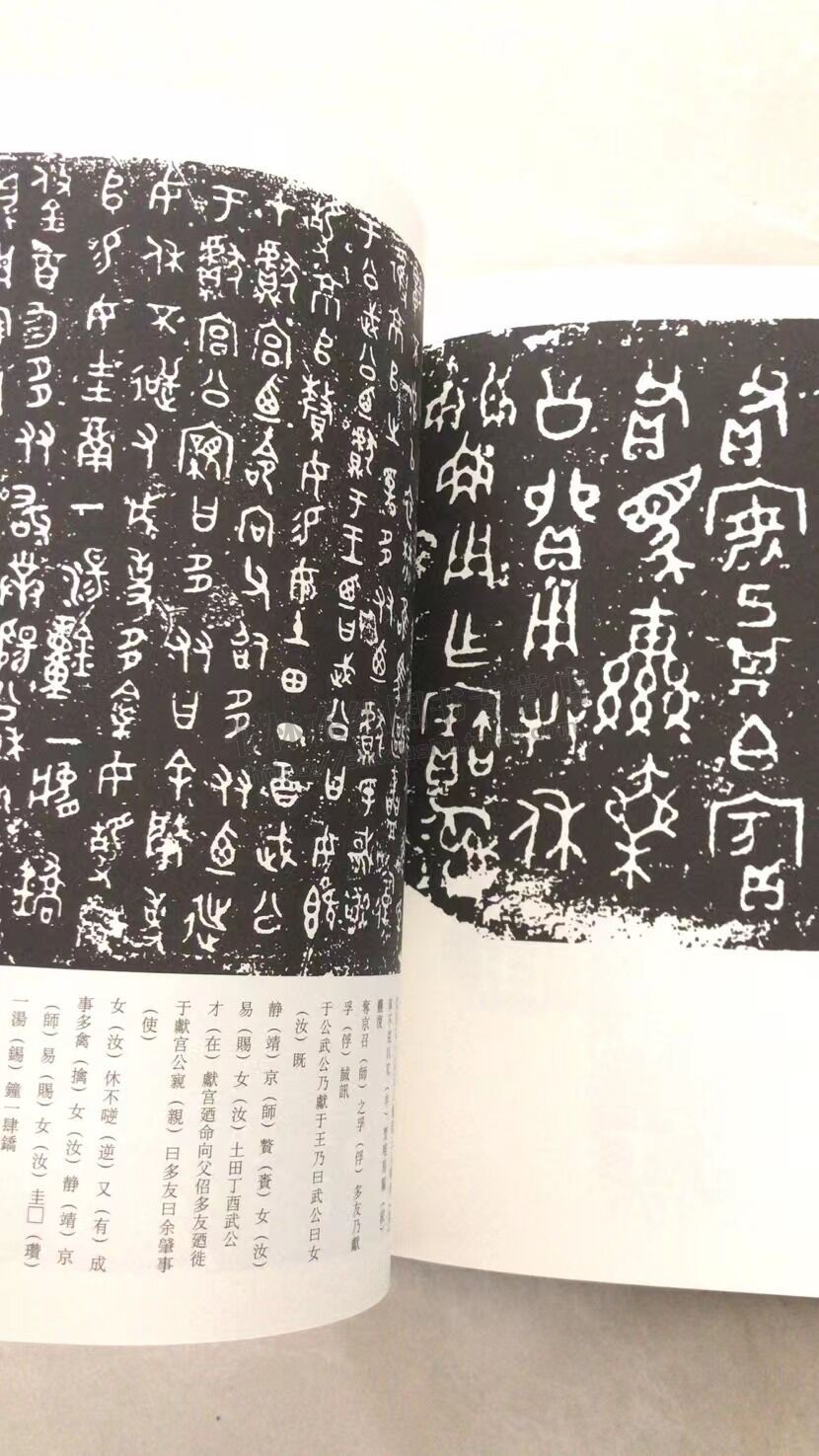 商周秦汉金文精选 历代法帖风格类编 古文字研究篆书青铜器铭文钟鼎文甲骨文毛笔书法字帖技法临摹鉴赏范本书籍 河南美术出版社 - 图1