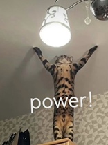 A collection of exclusive exclusive promotions of the text