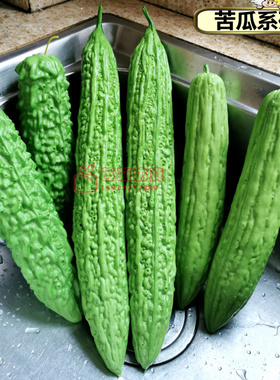 仿真蔬菜 假水果蔬菜模型假生菜西兰花包菜 橱柜家居展示装饰道具