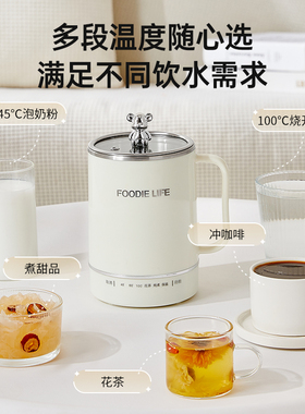 养生壶小型办公室一体炖煮煮粥