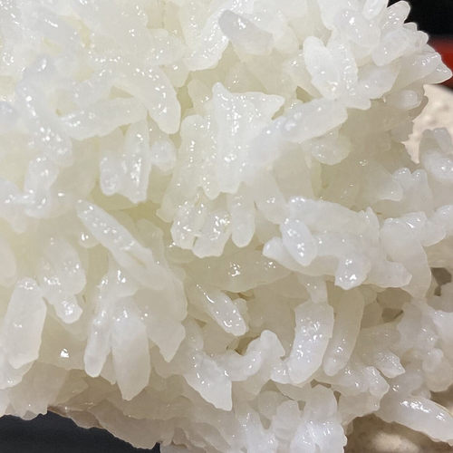 新米东北大米正宗五常稻花香大米500g黑龙江农家粳米 - 图1