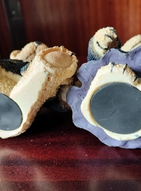 外单孤品 小熊情侣摆件一对 储蓄罐 零钱罐