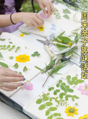 植物敲拓染工具材料包套装