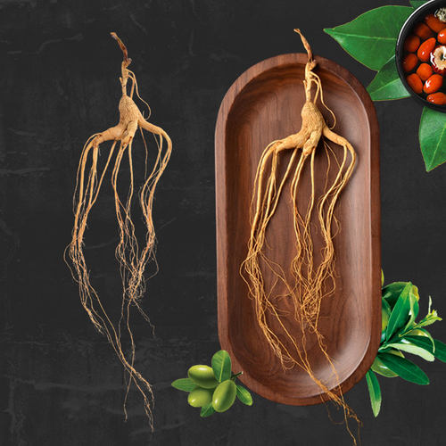 人参长白山林下参移山参东北特产干参15--20年老山参整枝正空装 - 图2