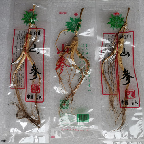 人参长白山林下参移山参东北特产干参15--20年老山参整枝正空装 - 图1