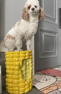 现货包邮同款玉米凳潮流树脂