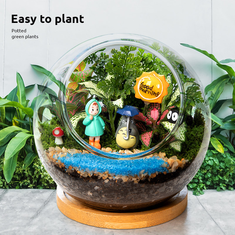 苔藓微景观盆景办公室绿植小盆栽工位客厅桌面植物生态瓶新年礼物,淘宝优惠券,粉丝福利购,淘宝优惠卷