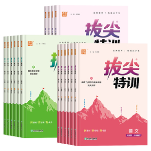 2025秋小学拔尖特训语文数学英语暑假作业