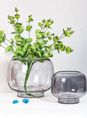 轻奢大肚花瓶摆件ins玻璃透明水养鲜花干花插花客厅桌面鱼缸花器