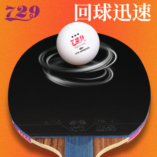 正品友谊729乒乓球拍专业级大师兵乓球拍单拍双反胶直拍横拍升级 - 图1