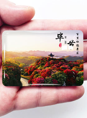 贵州毕节旅游景点冰箱贴