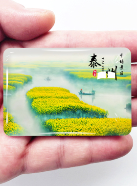 江苏泰州旅游景点冰箱贴