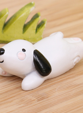 拍摄道具多肉创意生日礼物工艺品
