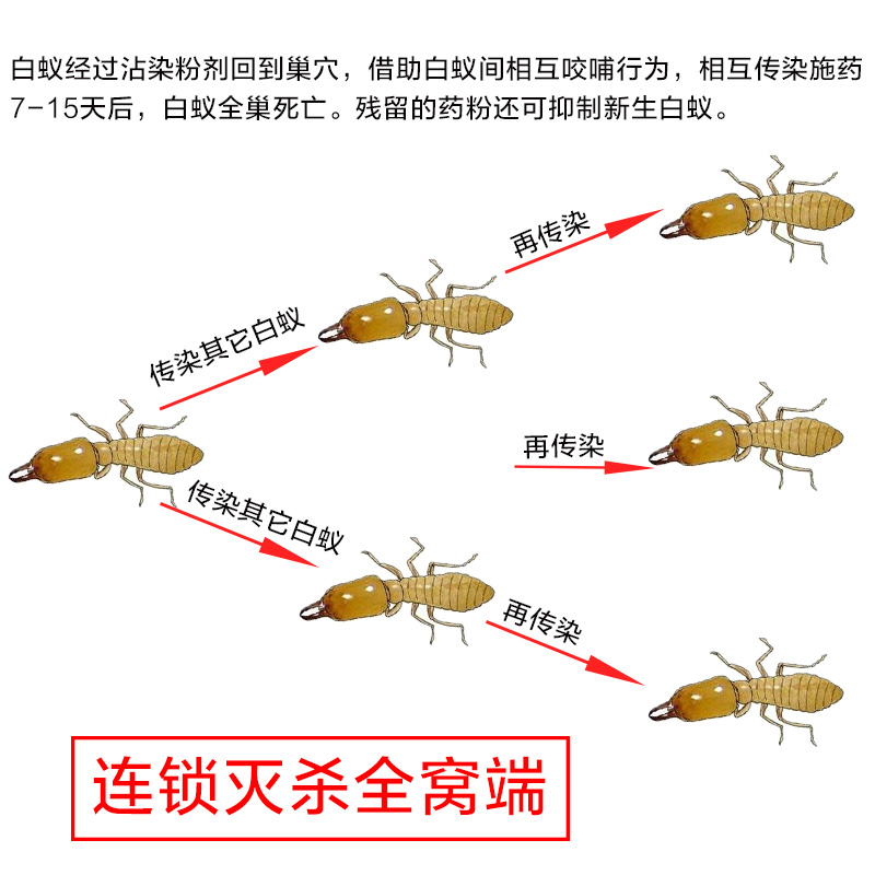 大功达灭白蚁药杀虫粉剂白蚁诱杀装修地板预防白蚁传染全窝端家用 - 图1