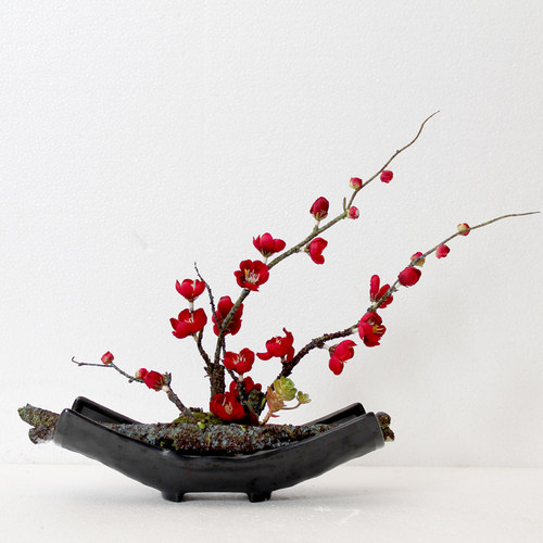 仿真花假花绢花梅花花艺套装客厅茶几电视柜花艺摆设软装饰品 - 图3