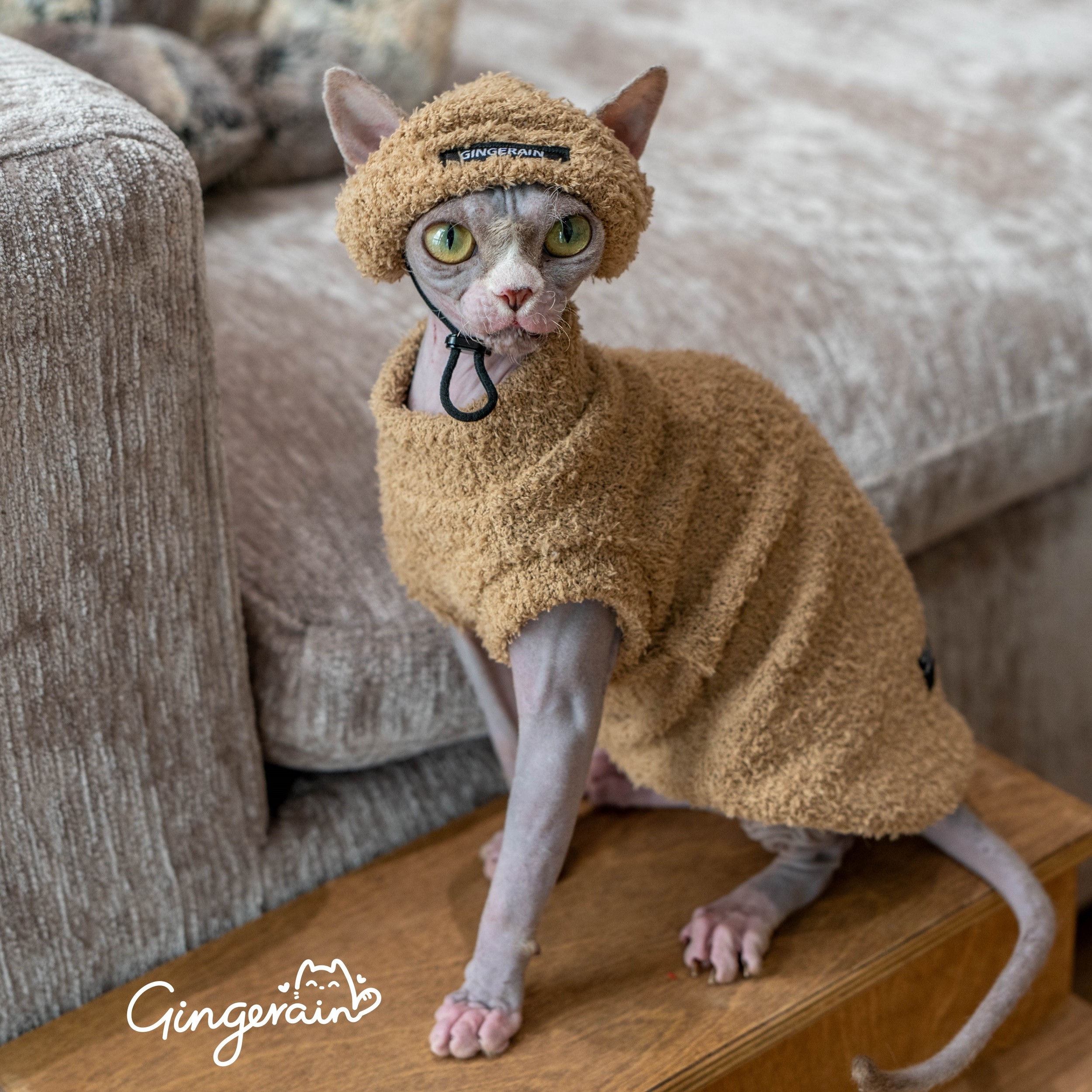 GINGERAIN  泰迪保暖帽子德文猫衣服无毛猫简约套装保暖卫衣,淘宝优惠券,粉丝福利购,淘宝优惠卷