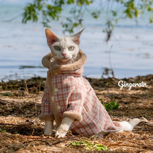 GINGERAIN 德文猫衣服无毛猫毛呢毛毛领带里衬长袖系扣大衣外套 - 图1