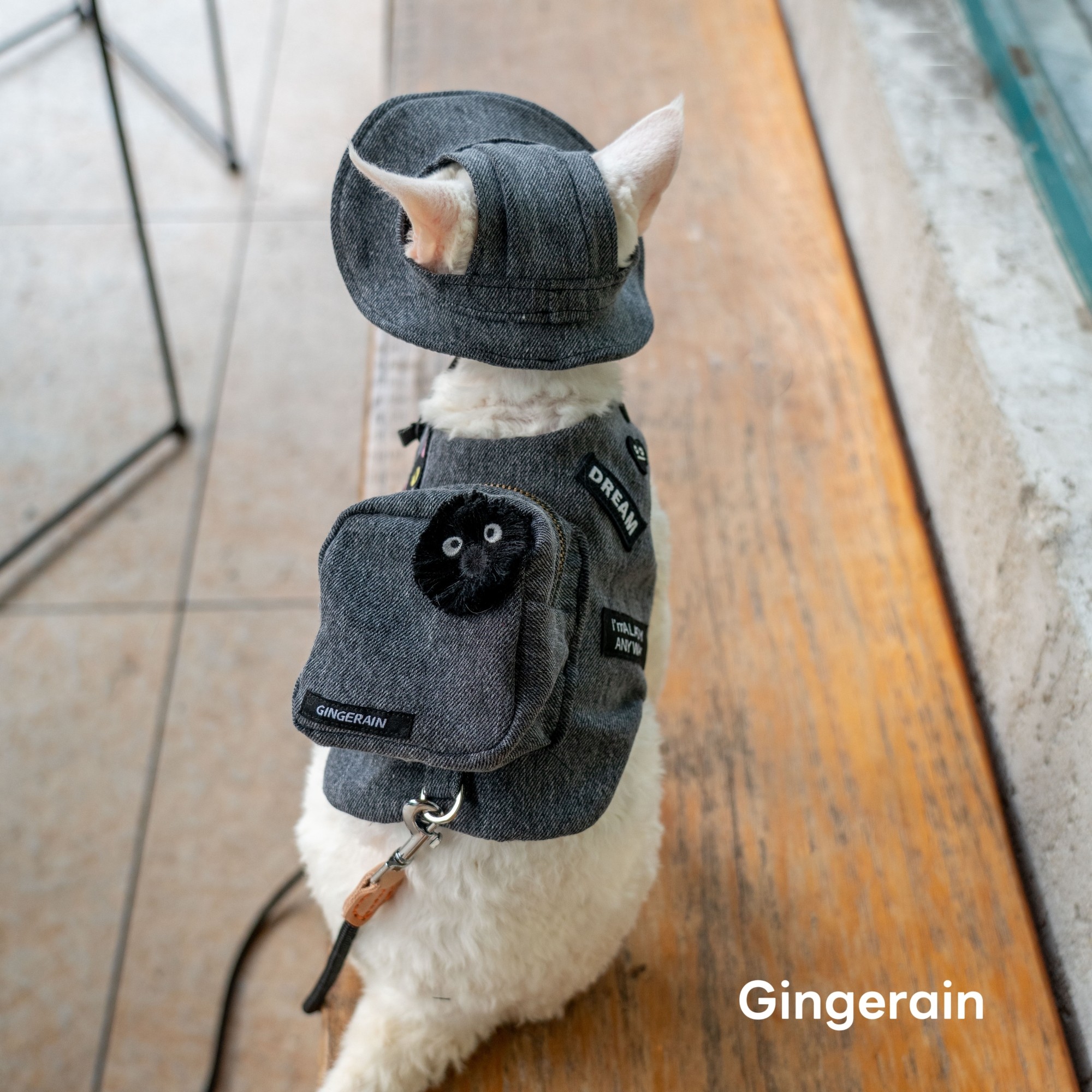 GINGERAIN  露营户外遛猫牛仔背包胸背带牵引绳无毛德文猫书包,淘宝优惠券,粉丝福利购,淘宝优惠卷