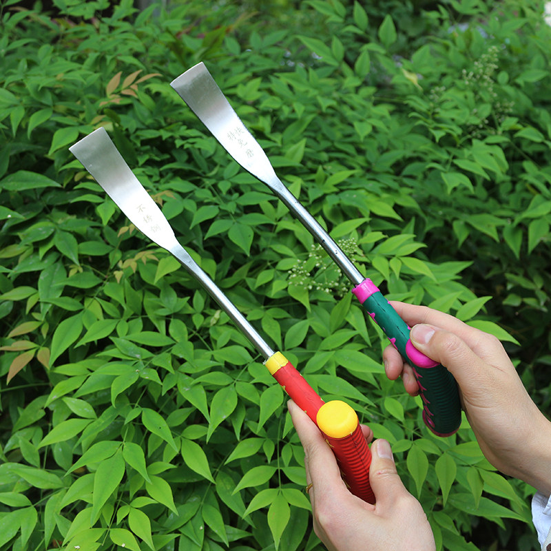 挖野菜小铲子不锈钢锰钢农用挖大蒜铲子挖婆婆丁神器养花种菜铁铲,淘宝优惠券,粉丝福利购,淘宝优惠卷