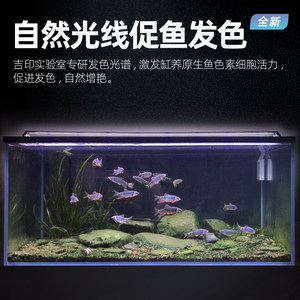 吉印原生鱼专业灯爆藻灯照明防水led专用原生溪流缸灯潜水鱼缸灯