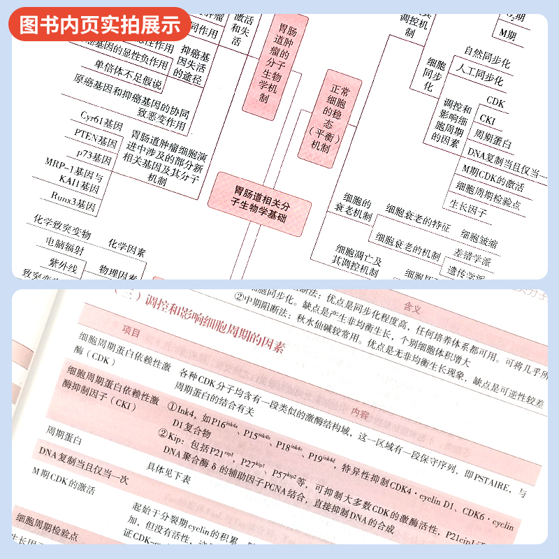 新版2024年消化内科学拿分考点随身记高级卫生专业技术资格考试消化内科学主任副主任医师进阶正高副高职称卫生专业资格考试辅导书 - 图1