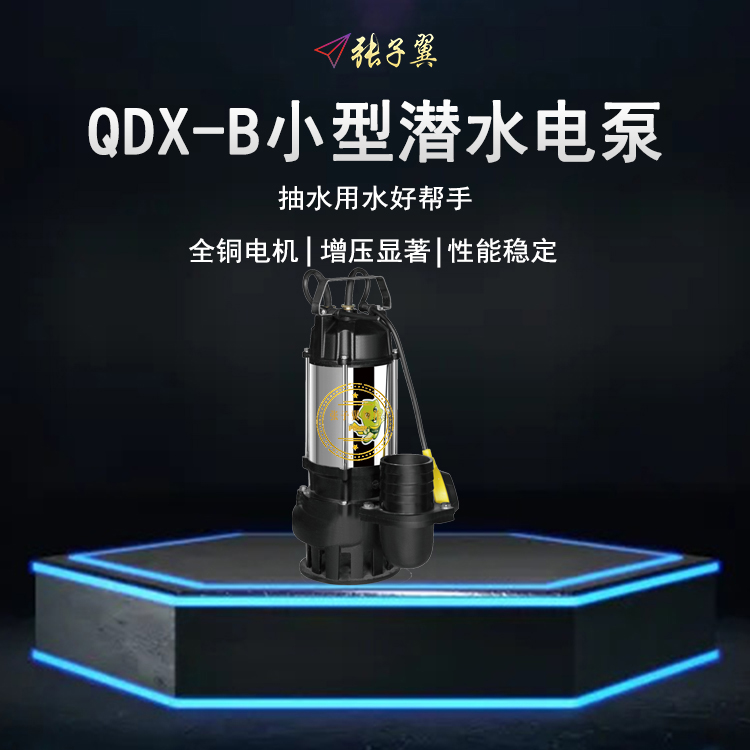 【奥冠迪】飞克QDX3-24-0.75B潜水泵小型高扬程井水高压灌溉抽水-图0