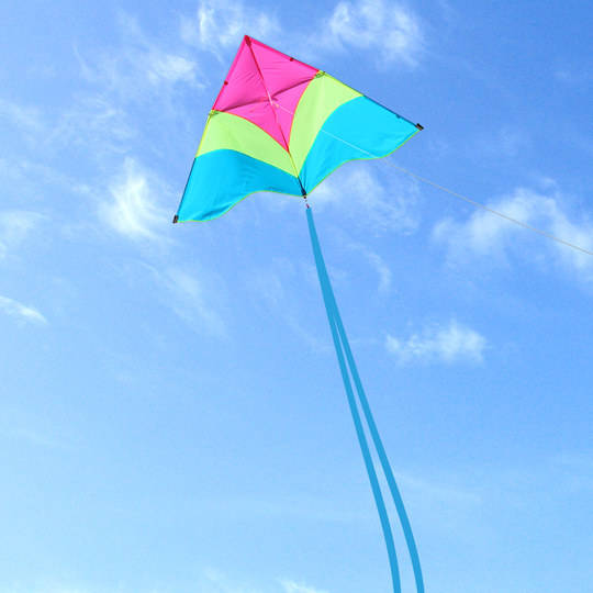 伞布风筝小轻体微风易飞尼龙伞布碳杆成人儿童高品质风筝送尾飘