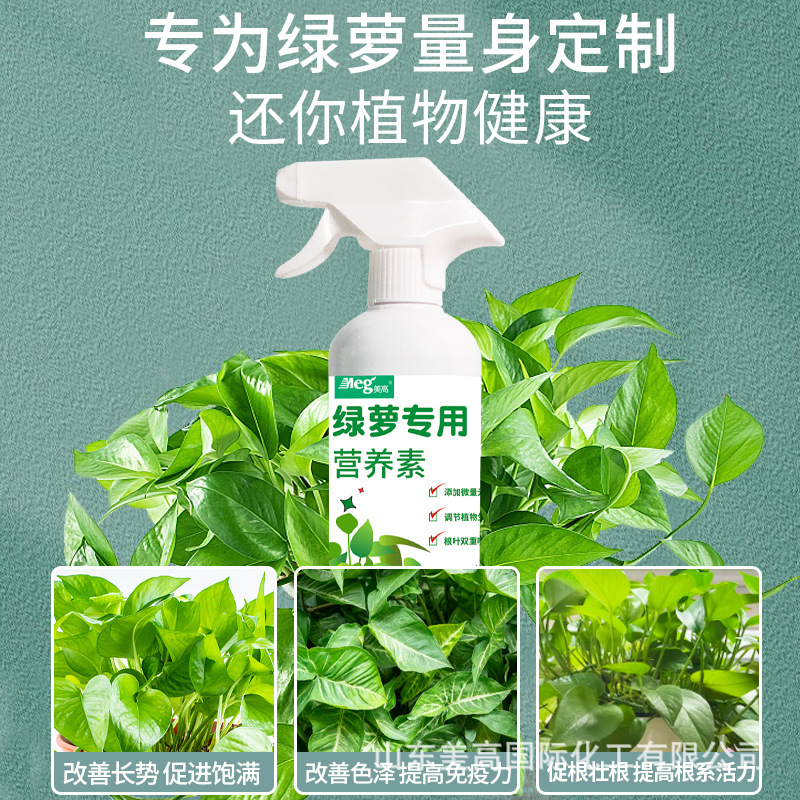 绿箩专用营养液肥花卉水培植物绿箩室内家用盆栽肥料免稀释 - 图0